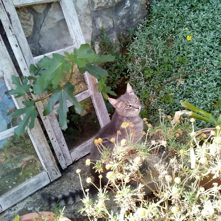 & Dinko 3* Valun
