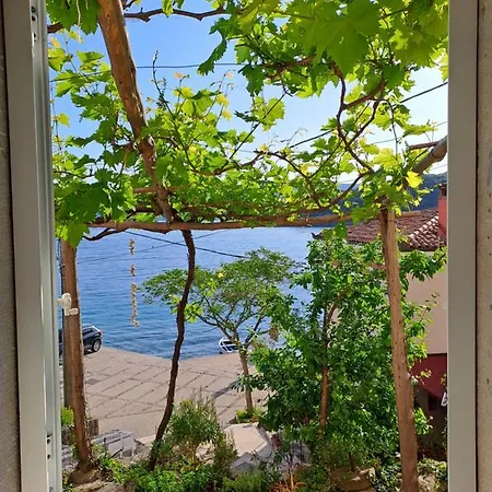 & Dinko Guest house