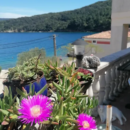 Πανσιόν & Dinko