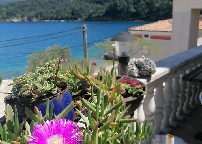 Gostinjska kuća & Dinko