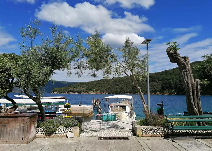 Gostinjska kuća & Dinko Valun