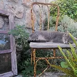 & Dinko 3* Valun